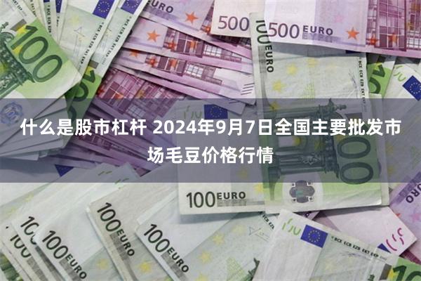 什么是股市杠杆 2024年9月7日全国主要批发市场毛豆价格行情