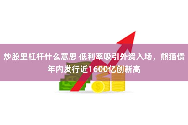 炒股里杠杆什么意思 低利率吸引外资入场，熊猫债年内发行近1600亿创新高