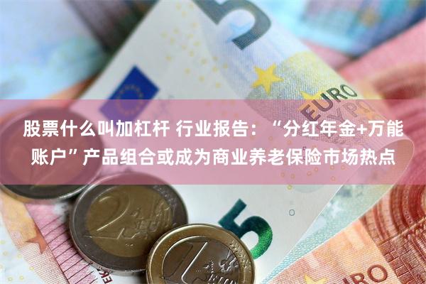 股票什么叫加杠杆 行业报告：“分红年金+万能账户”产品组合或成为商业养老保险市场热点