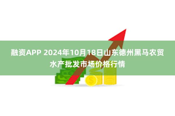 融资APP 2024年10月18日山东德州黑马农贸水产批发市场价格行情