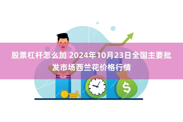 股票杠杆怎么加 2024年10月23日全国主要批发市场西兰花价格行情