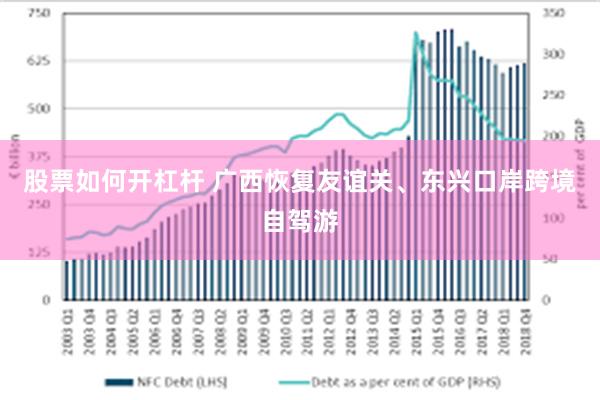 股票如何开杠杆 广西恢复友谊关、东兴口岸跨境自驾游