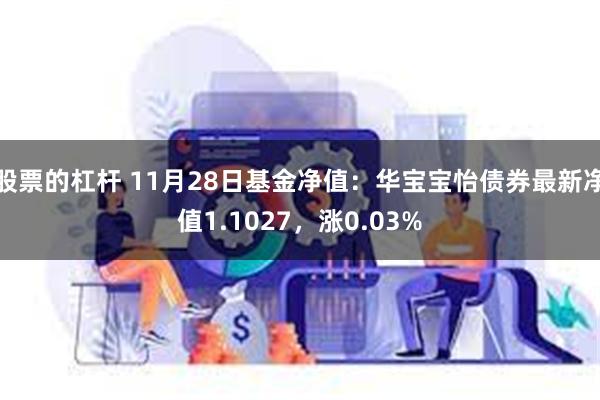 股票的杠杆 11月28日基金净值：华宝宝怡债券最新净值1.1027，涨0.03%