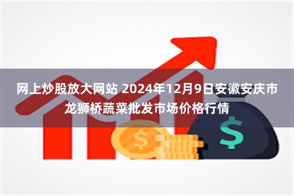 网上炒股放大网站 2024年12月9日安徽安庆市龙狮桥蔬菜批发市场价格行情