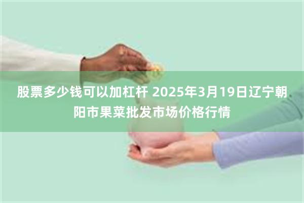 股票多少钱可以加杠杆 2025年3月19日辽宁朝阳市果菜批发市场价格行情