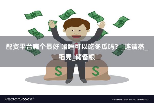 配资平台哪个最好 嗜睡可以吃冬瓜吗？_连清蒸_稻壳_储备粮
