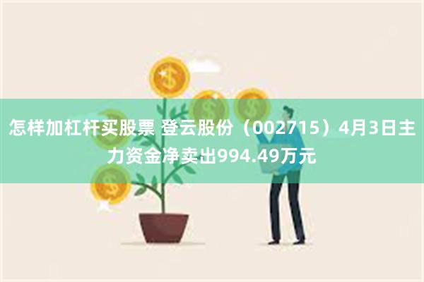 怎样加杠杆买股票 登云股份（002715）4月3日主力资金净卖出994.49万元